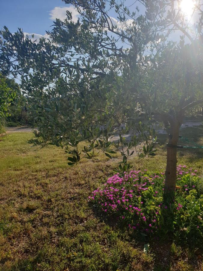 Apartmani Goga Seline Esterno foto