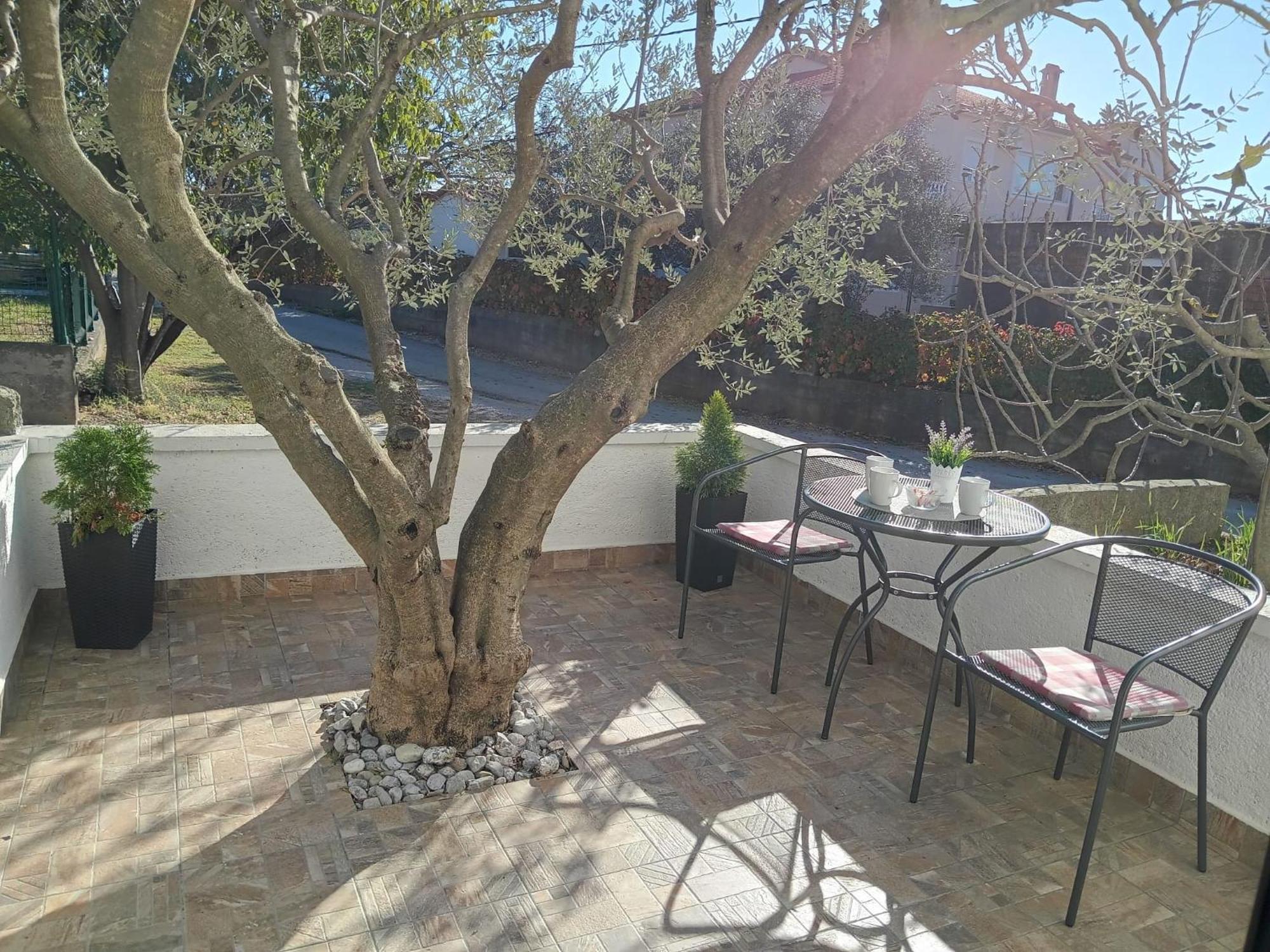 Apartmani Goga Seline Esterno foto